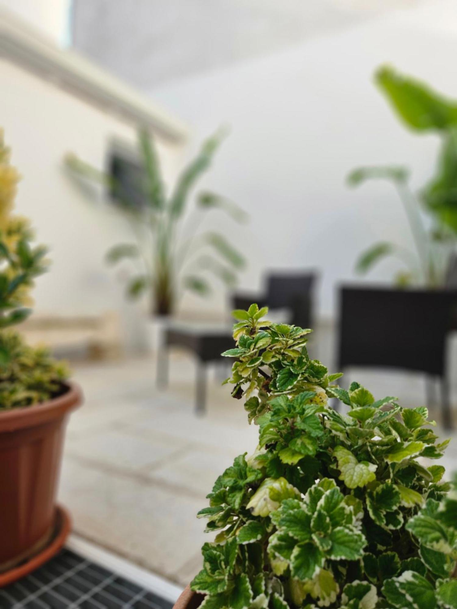 B&B La Campana Salentina Galatone Bagian luar foto